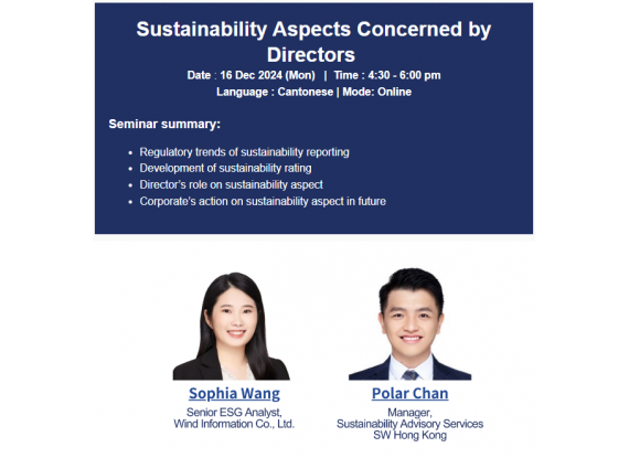 Sustainability Aspects Concerned by Directors 